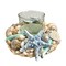 Coastal Shell Hurricane Candle Holder - Holiday Tree - Final sale / Non-returnable and Non-refundable